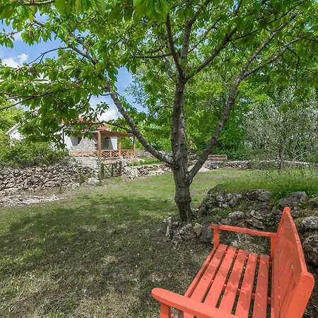 House Mali Dvori Krivodol