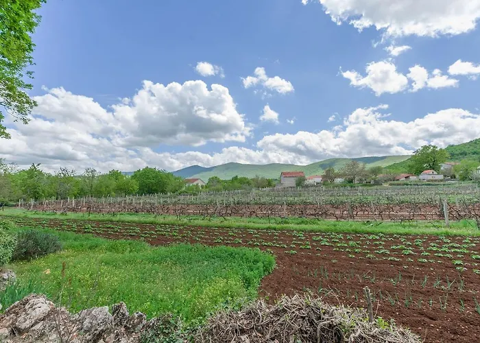 House Mali Dvori Krivodol